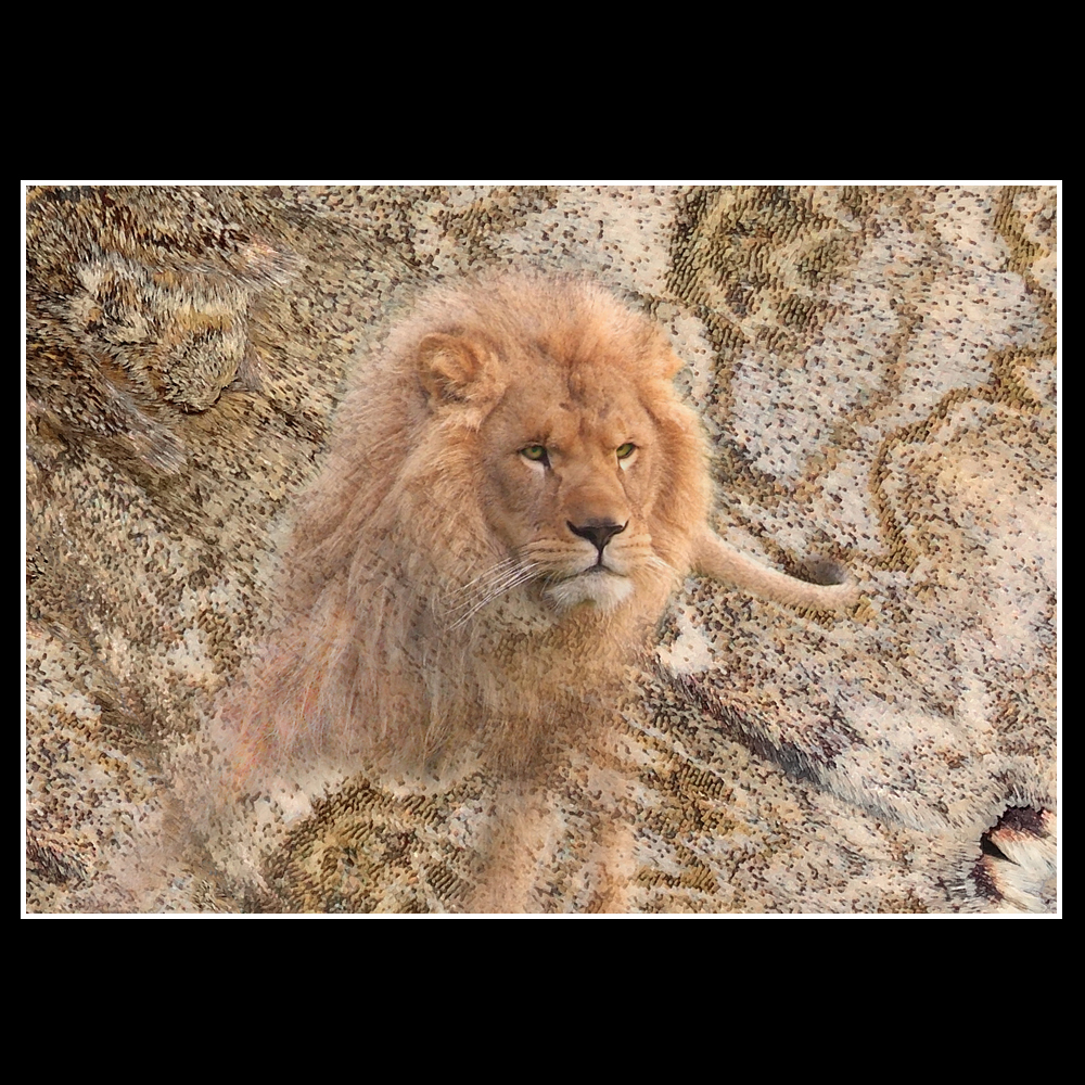 Lion au papillon