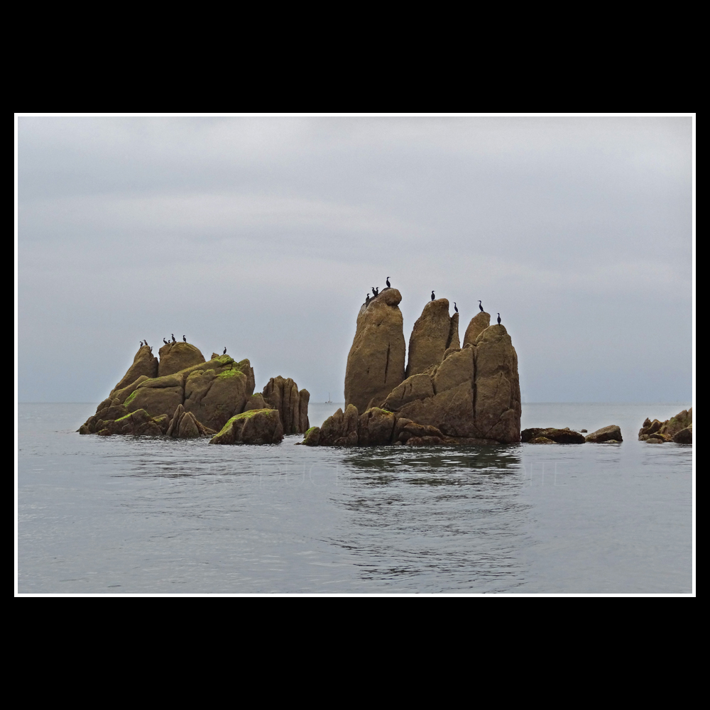 Rochers et Cormorans