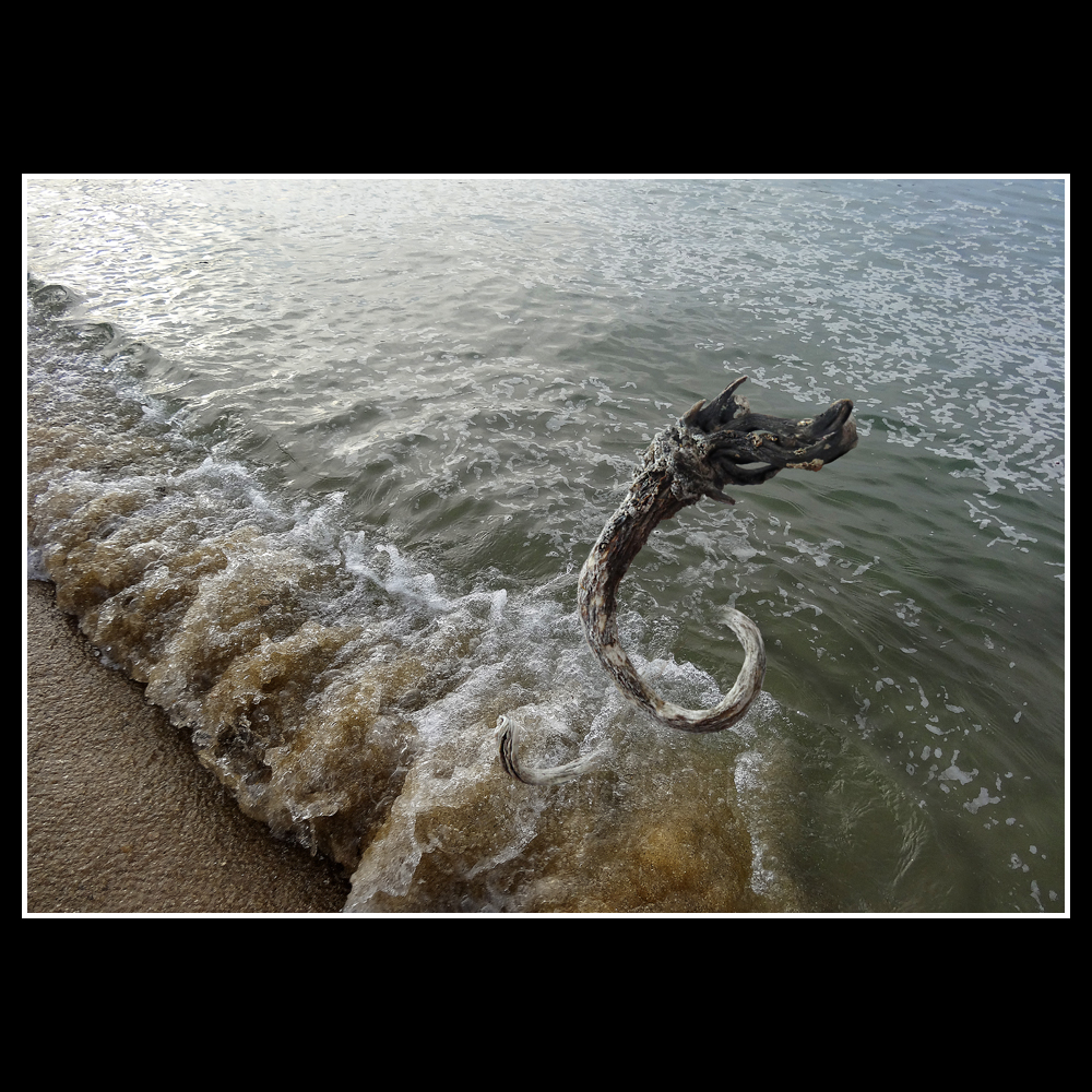 Serpent de Mer