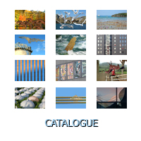 Bouton catalogue