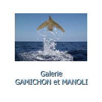 Bouton galerie gamichon et manoli